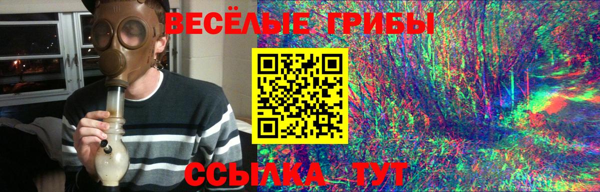 Псилоцибиновые грибы мухоморы Новочеркасск