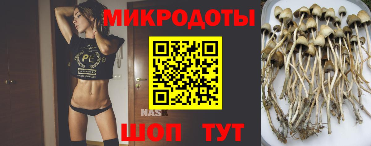 Новочеркасск  Галлюциногенные грибы Cubensis  купить закладку  Вход с VPN  Псилоцибиновые грибы Psilocybe 